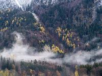 Nebelschleier unterhalb der Kampenwand Seilbahntrasse gesäumt von Lärchen